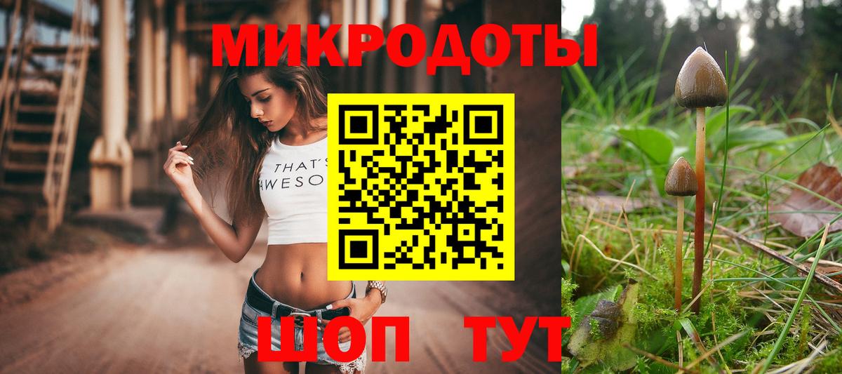 Галлюциногенные грибы прущие грибы Буйнакск