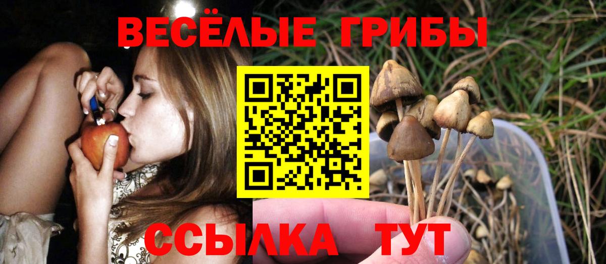 Галлюциногенные грибы ЛСД  Вход с VPN  Буйнакск 