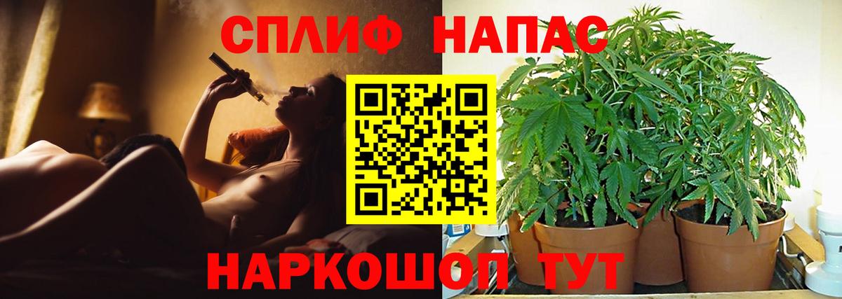 Бошки Шишки индика  Конопля VHQ  Буйнакск  Вход с VPN  Бошки Шишки марихуана 